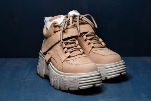 Brown women's leather shoes on a gray background. Fashion trend
