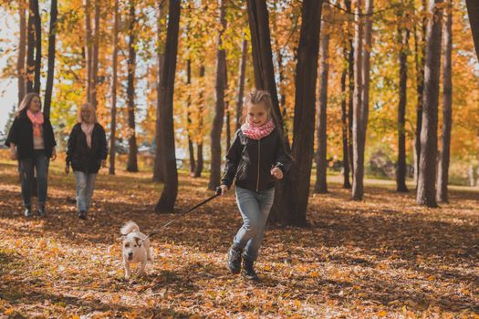 Little girl running with her dog jack russell terrier among autumn leaves. Mother and grandmother walks behind.