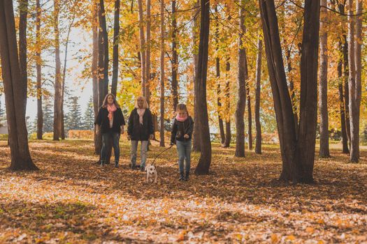 Grandmother and mother with granddaughter throw up fall leaves in autumn park and having fun. Generation, leisure and family concept