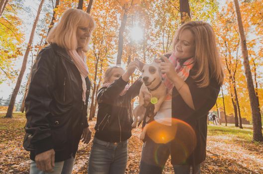 Mother and grandmother and daughter holds jack russell terrier and plays with it in autumn outside. Pet and family concept.