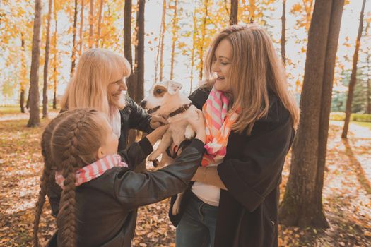 Mother and grandmother and daughter holds jack russell terrier and plays with it in autumn outside. Pet and family concept.