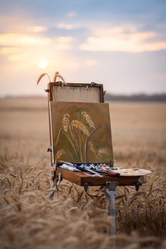 Creative work in nature in summer during sunset