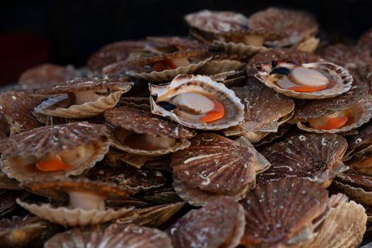 Fresh french scallops on a seafood market at Dieppe France