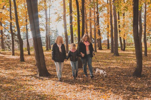 Grandmother and mother with granddaughter throw up fall leaves in autumn park and having fun. Generation, leisure and family concept