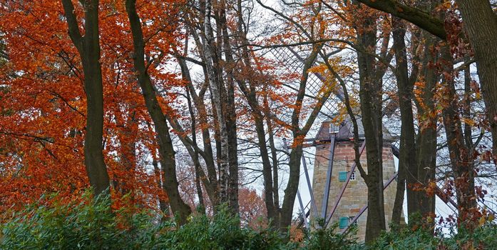 Trees in autumn colors. A historical dutch windmill is seen through the branches