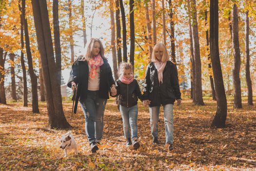 Grandmother and mother with granddaughter throw up fall leaves in autumn park and having fun. Generation, leisure and family concept