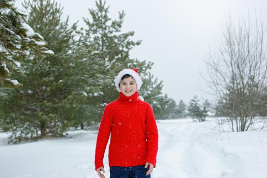 teenager in a red sweater and a red santa claus hat stands in the winter in the park, near pine trees in the snow, smiling. Copy space