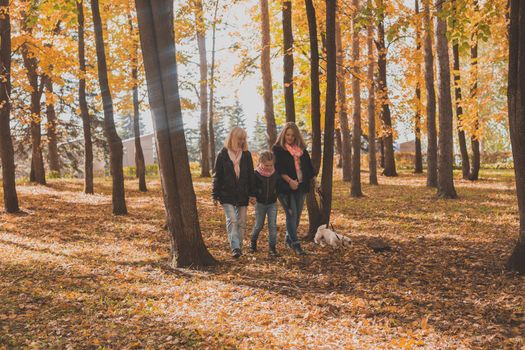 Grandmother and mother with granddaughter throw up fall leaves in autumn park and having fun. Generation, leisure and family concept