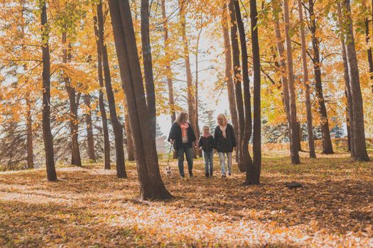 Grandmother and mother with granddaughter throw up fall leaves in autumn park and having fun. Generation, leisure and family concept