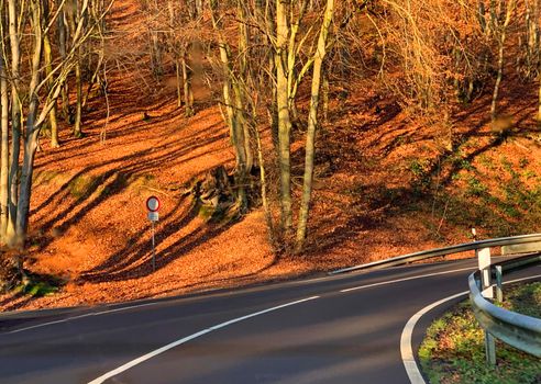 Two-lane highway winds through the hills of North Rhine Westphalia. On the side of the road is a giant deciduous forest with bare trees. The road runs through the Wiehen Hills, Germany