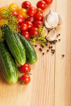 fresh cucumbers, tomatoes of cherry and fennel branch on a kitchen board