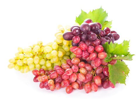 grapes bunch isolated on the white