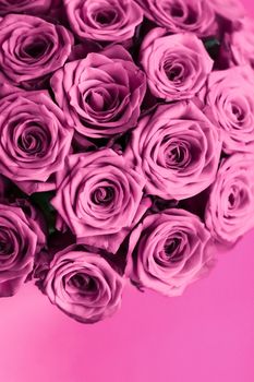 Blooming rose, flower blossom and Valentines Day gift concept - Luxury bouquet of purple roses, flowers in bloom as floral holiday background