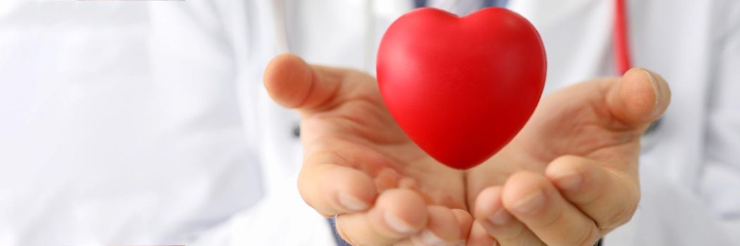 Doctor cardiologist holds small red heart. Diseases of cardiovascular system concept