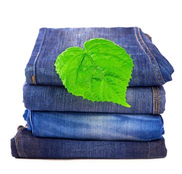 green spring leave and pile of jeans clothes on white