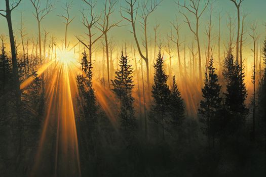 Forest Trees with Sunlight Pouring through at Sunset in the Woods. High quality illustration