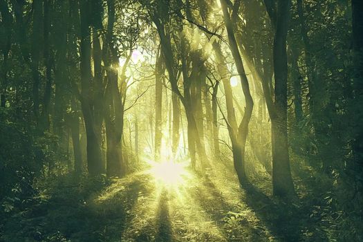 Sunshine forest trees. Peaceful outdoor scene wild woods nature. Sun through green forest nature. Peaceful outdoor woods nature. Green trees in light. Green nature tranquility. Sunlight green forest. High quality illustration