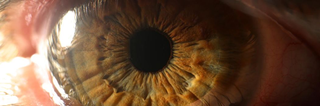 Human eye detail. Macro photography of brown eyes. Human vision and health concept