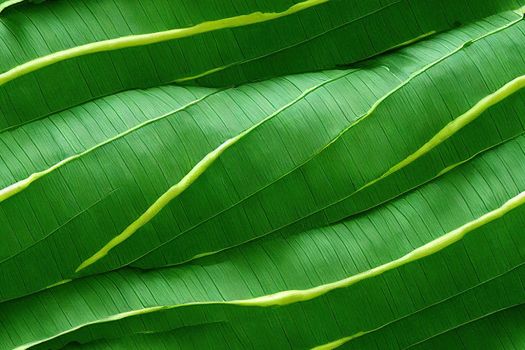 Tropical pattern with monsteras banana leaves,. High quality illustration