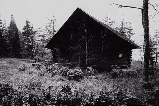 Secluded cabin in the woods. Mountain Log Cabin surrounded by trees and grass.. High quality illustration