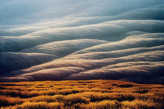 misty straight brown pine forest tree plantation with grass on a cold freezing winter morning. High quality illustration