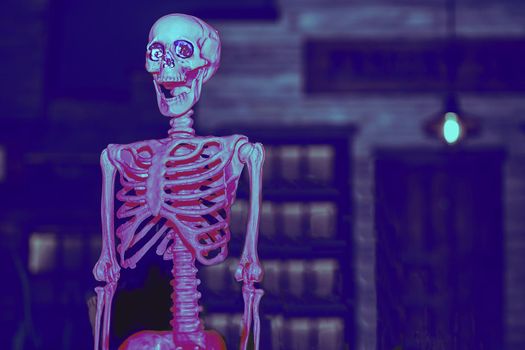 the night of October 31, the eve of All Saints' Day, commonly celebrated by children who dress in costume and go door asking for candy. Pink red slver poisonous halloween skeleton in dark brown room