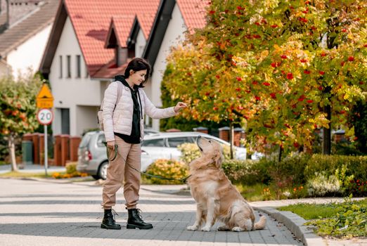 Preteen young woman training his golden retriever dog .