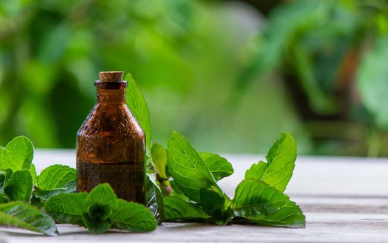 The mint extract in a small jar. Selective focus.