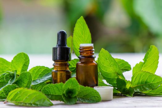 The mint extract in a small jar. Selective focus.