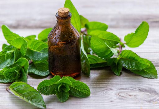 The mint extract in a small jar. Selective focus.