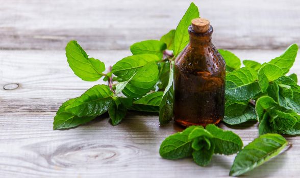 The mint extract in a small jar. Selective focus.