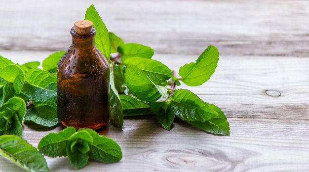 The mint extract in a small jar. Selective focus.