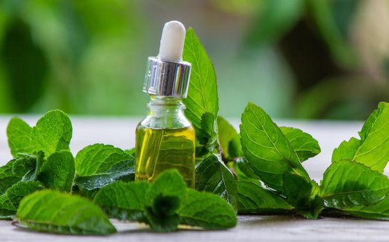 The mint extract in a small jar. Selective focus.