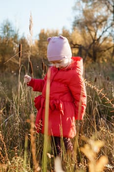 A little girl in a red coat walks in nature in an autumn grove. The season is autumn