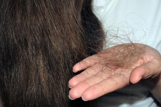 A girl with long dark hair holds a bun in her hand. Hair loss problem.