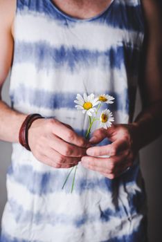 Three Daisy Flowers in Male Hands