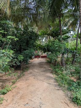 Overview of beautiful green scenery in front of house with gate. High quality photo