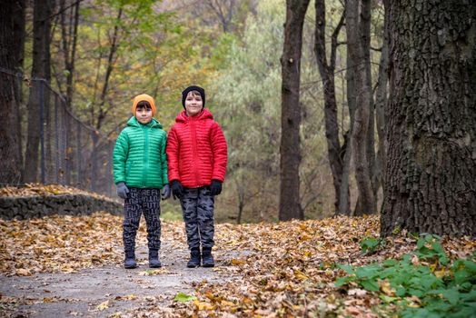 Two children boy and sibling brother in warm hats with backpacks looking examining tree bark while exploring forest nature and environment. sunny day during outdoor ecology school lessons