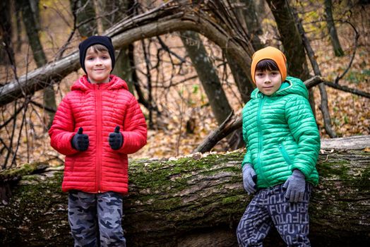Two children boy and sibling brother in warm hats with backpacks looking examining tree bark while exploring forest nature and environment. sunny day during outdoor ecology school lessons