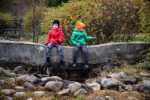 Close up portrait two happy positive kids boys, funny siblings fun together. Brothers playing outdoors in autumn day, best friends concept.