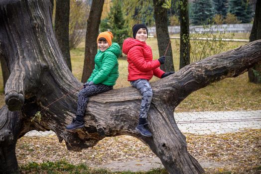 Two boys are sitting on a log. The child walks in the summer park or forest. The kid sits on a fallen tree. Outdoor fun for children.