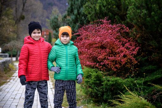 Close up portrait two happy positive kids boys, funny siblings fun together. Brothers playing outdoors in autumn day, best friends concept.