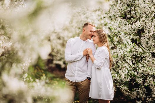 A happy young couple in love stands in a garden of blooming apple trees. A man in a white shirt and a girl in a white light dress are walking in a flowering park