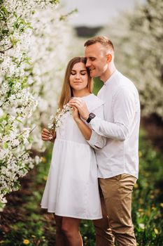 A happy young couple in love stands in a garden of blooming apple trees. A man in a white shirt and a girl in a white light dress are walking in a flowering park