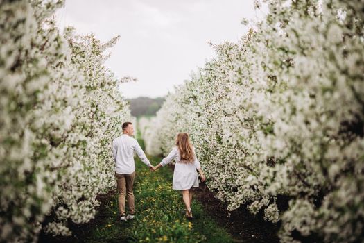 Happy family couple in spring blooming apple orchard. Young couple in love enjoy each other while walking in the garden. The man holds the woman's hand. Family relationships