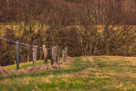 An electric fence with wooden posts separates two meadows from each other in winter