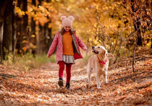 Preteen girl kid with golden retriever dog at autumn park with trees with yellow leaves. Beautiful portrait of child and pet outdoors at nature
