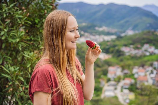 Young attractive woman eating a strawberry, outdoors.