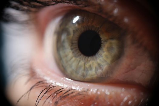 Macro photo of a female green eye, close-up. Healthy retina, lens selection, open look. Permanent makeup