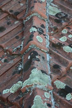 Old roof tiles with lichens closeup vintage background high quality big size prints